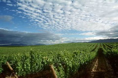 suncitygroup太阳集团(中国)-官方网站