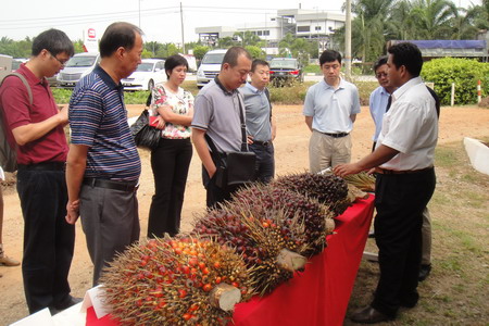 suncitygroup太阳集团(中国)-官方网站