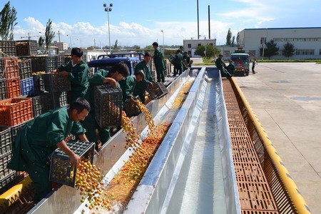 suncitygroup太阳集团(中国)-官方网站