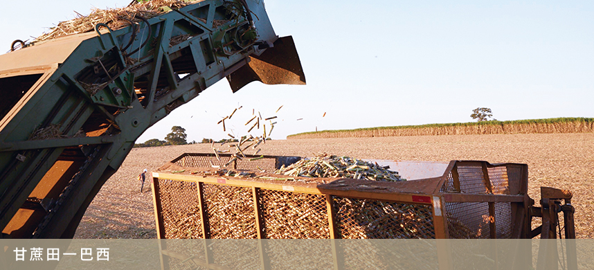 suncitygroup太阳集团(中国)-官方网站