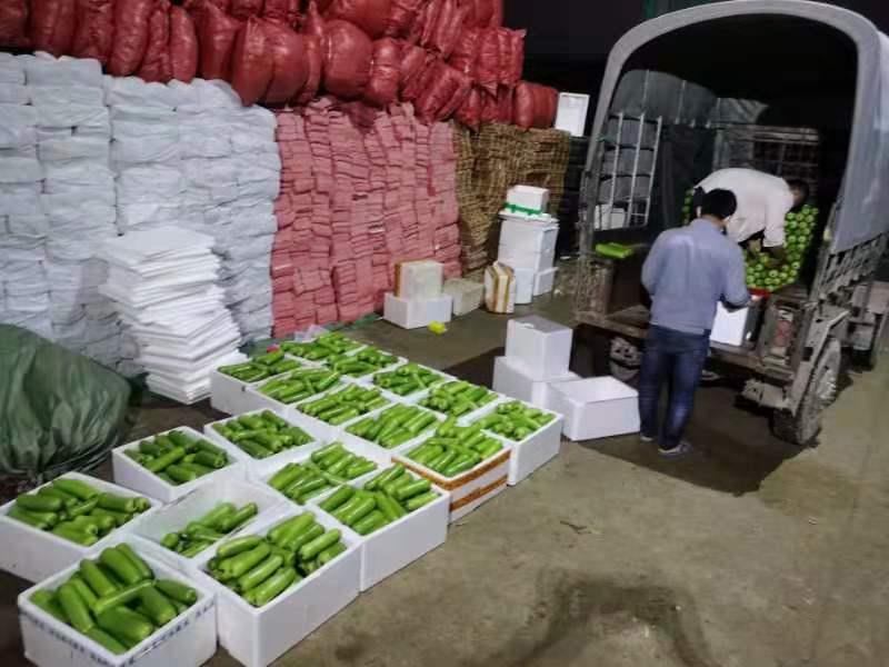 suncitygroup太阳集团(中国)-官方网站