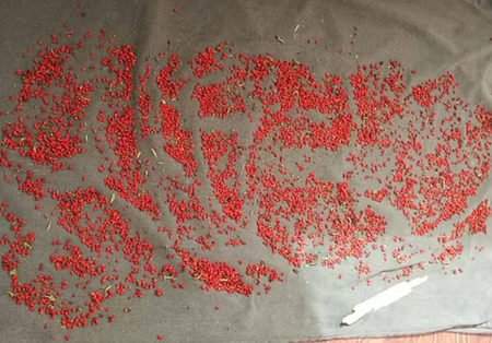 suncitygroup太阳集团(中国)-官方网站