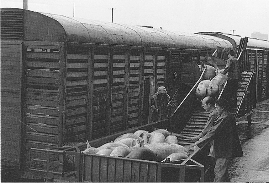 suncitygroup太阳集团(中国)-官方网站