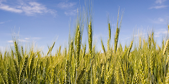 suncitygroup太阳集团(中国)-官方网站