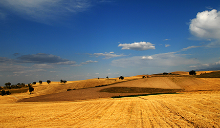 suncitygroup太阳集团(中国)-官方网站