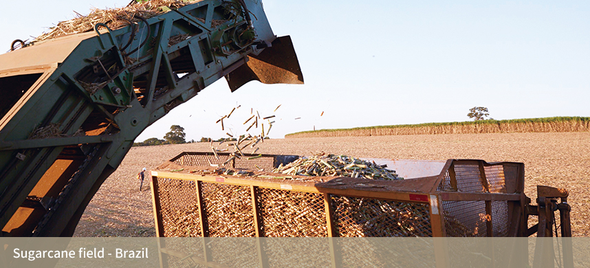 suncitygroup太阳集团(中国)-官方网站